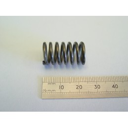 SP 001 817 Spring, Blade...