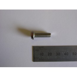 SP 007 071 Screw,...