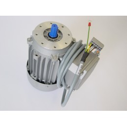 SP 006 030 3 Phase Motor...