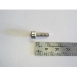 SP 000 621 Screw, M4 x 12mm
