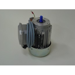 SP 004 718 Motor, Main...