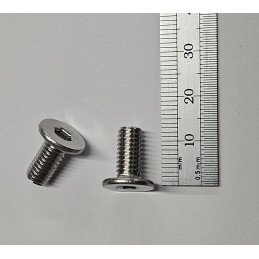 SP 008 260 Screw, M6 x...